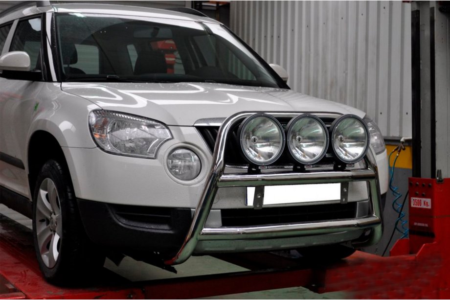 Skoda Yeti 2009-2017 гг. Кенгурятник WT018 (нержавейка) Фото 2