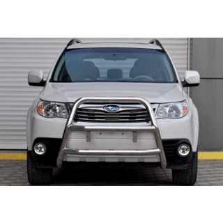 Кенгурятник WT018 (нержавейка)