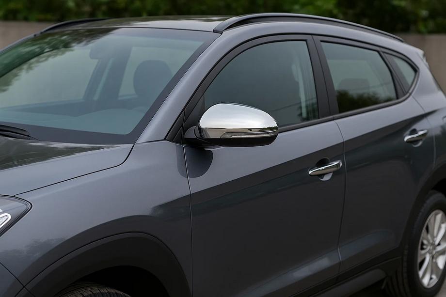 Накладки на Зеркала (2 шт., Нержавейка) Image