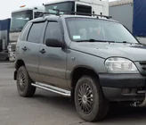 Chevrolet Niva 1998-2020 гг. Боковые Подножки Premium (2 шт., Нержавейка) Ø60 фото 1