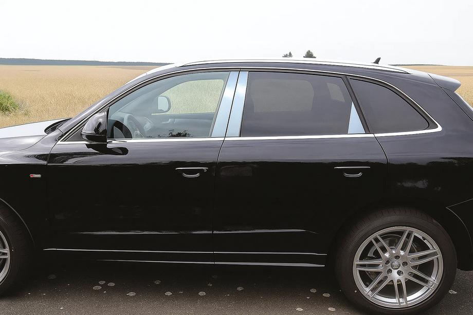 Накладки на дверные стойки из нержавеющей стали (6 шт.) Image