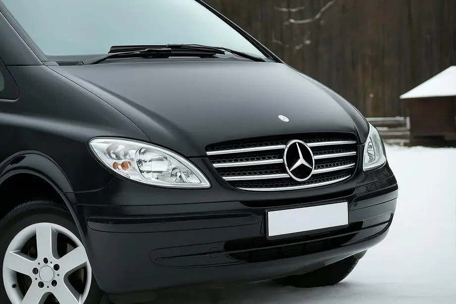 Mercedes Vito W639 2004-2014 гг. Накладка на решетку 2004-2010 нержавейка Image