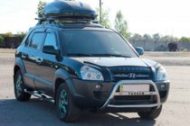 Hyundai Tucson JM 2004- гг. Кенгурятник WT025 (нержавейка) фото 3