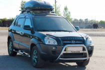 Hyundai Tucson JM 2004- гг. Кенгурятник WT025 (нержавейка) фото 4