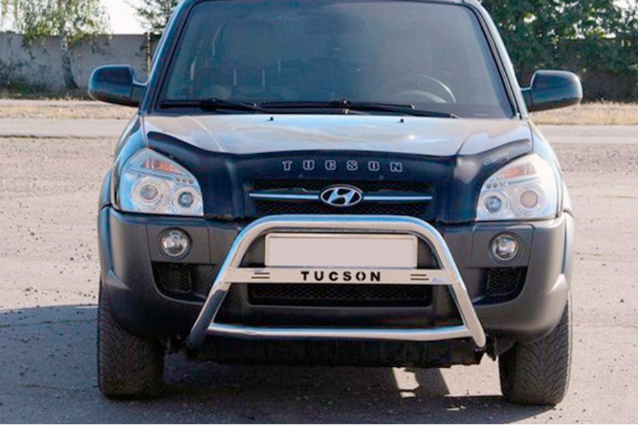 Hyundai Tucson JM 2004- гг. Кенгурятник WT025 (нержавейка) Image