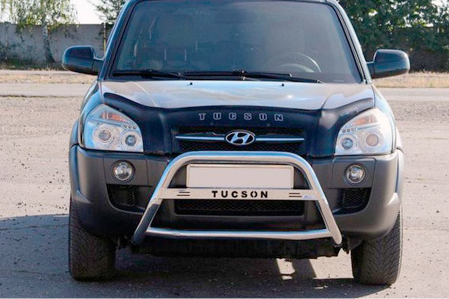 Hyundai Tucson JM 2004- гг. Кенгурятник WT025 (нержавейка) Image
