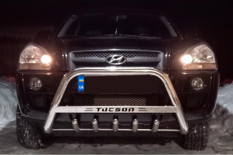 Hyundai Tucson JM 2004- гг. Кенгурятник WT004 (нержавейка) Фото 3