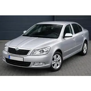 Накладки на Зеркала (2 шт., Нержавейка) Skoda Octavia II A5 2006-2010 гг. фото 1