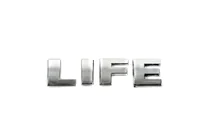 Volkswagen Caddy 2004-2010 гг. Надпись Life (в стиле оригинала) фото 2