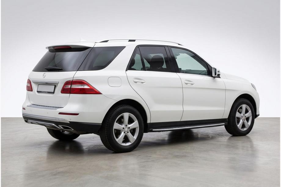 Mercedes GLE/ML class W166 2011-2018 гг. Боковые Подножки Duru (2 шт., Алюминий) Image