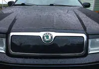 Skoda Octavia I Tour A4 1996-2010 гг. Зимняя решетка (верхняя) фото 1