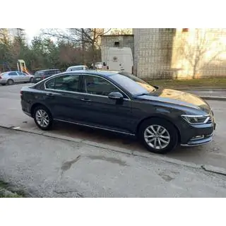 Дверные молдинги SD/SW (8 шт, нержавейка) фото 1