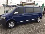 Volkswagen T6 2015-2024 гг. Молдинги на двери Нержавейка Хром фото 3