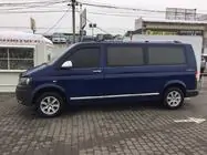 Volkswagen T6 2015-2024 гг. Молдинги на двери Нержавейка Хром фото 4
