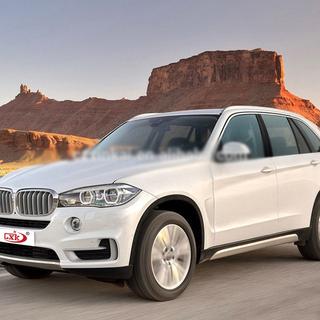 Рейлинги OEM (2 шт) BMW X5 F15 2013-2018 гг. фото 1
