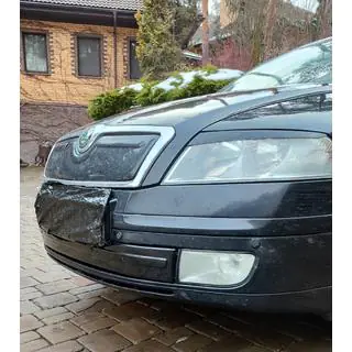 Зимняя накладка на решетку (нижняя) Skoda Octavia II A5 2006-2010 гг. фото 2