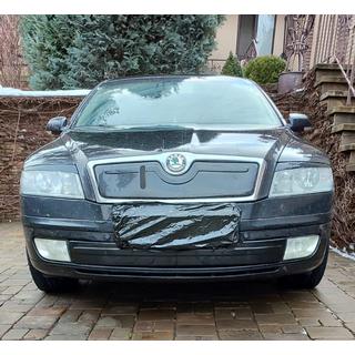 Skoda Octavia A5 2004-2010 Зимняя накладка на решетку в бампер