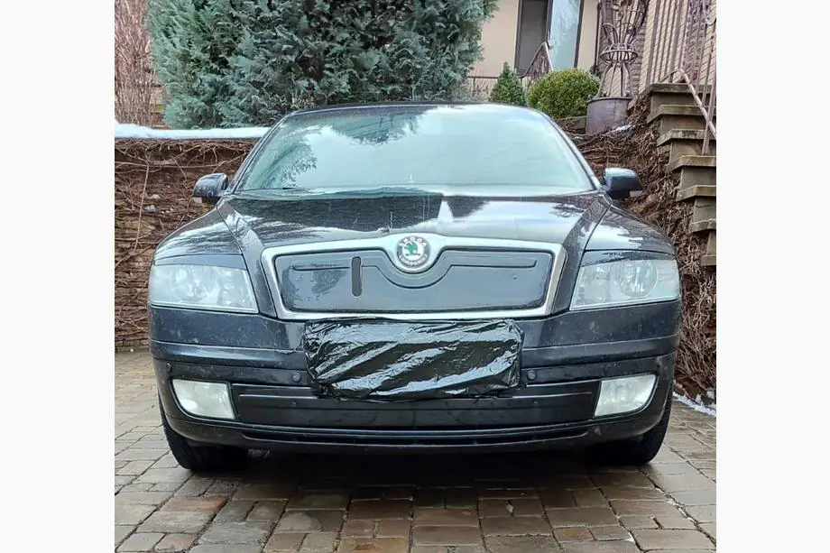 Skoda Octavia II A5 2006-2010 гг. Зимняя накладка на решетку (нижняя) Глянцевая Фото 1
