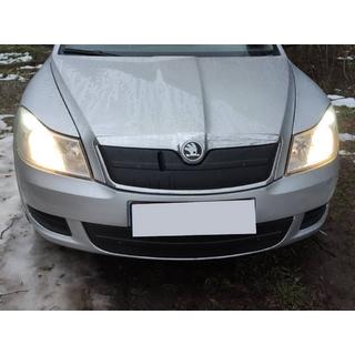 Skoda Octavia A5 2010↗ Зимняя накладка на решетку