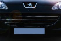 Peugeot 407 2004-2011 гг. Хром Накладки на Решетку (3 шт, Нержавейка) фото 1