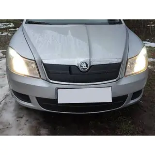 Зимняя накладка на решетку (нижняя) Skoda Octavia II A5 2010-2013 гг. фото 2