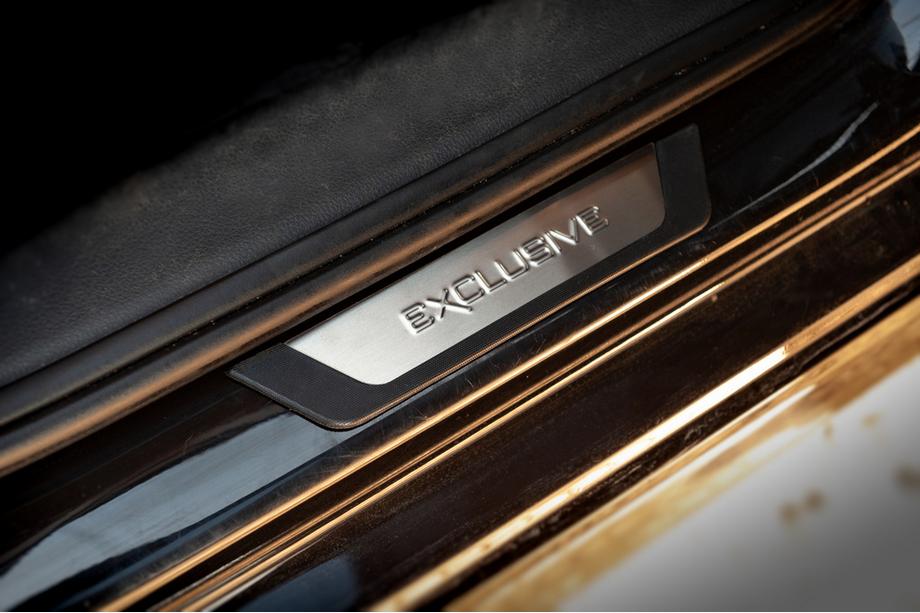Volkswagen Passat B7 2012-2015 гг. Накладки на пороги Flexill (4шт) Exclusive Фото 3