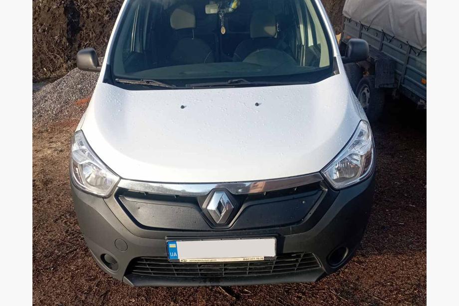 Renault Lodgy 2013-2022 гг. Зимняя решетка матовая (2013-2017) Image