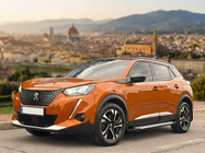 Peugeot 3008 2016-2023 гг. Боковые Подножки Allmond Grey (2 шт, Алюминий) фото 1