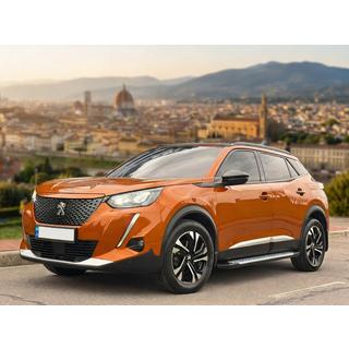 Боковые Подножки Allmond Grey (2 шт, Алюминий) Peugeot 3008 2016-2023 гг. фото 1