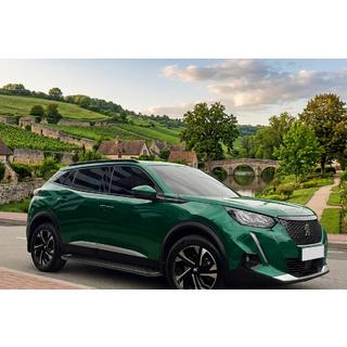 Боковые Подножки Allmond Black (2 шт, Алюминий) Peugeot 3008 2016-2023 гг. фото 1