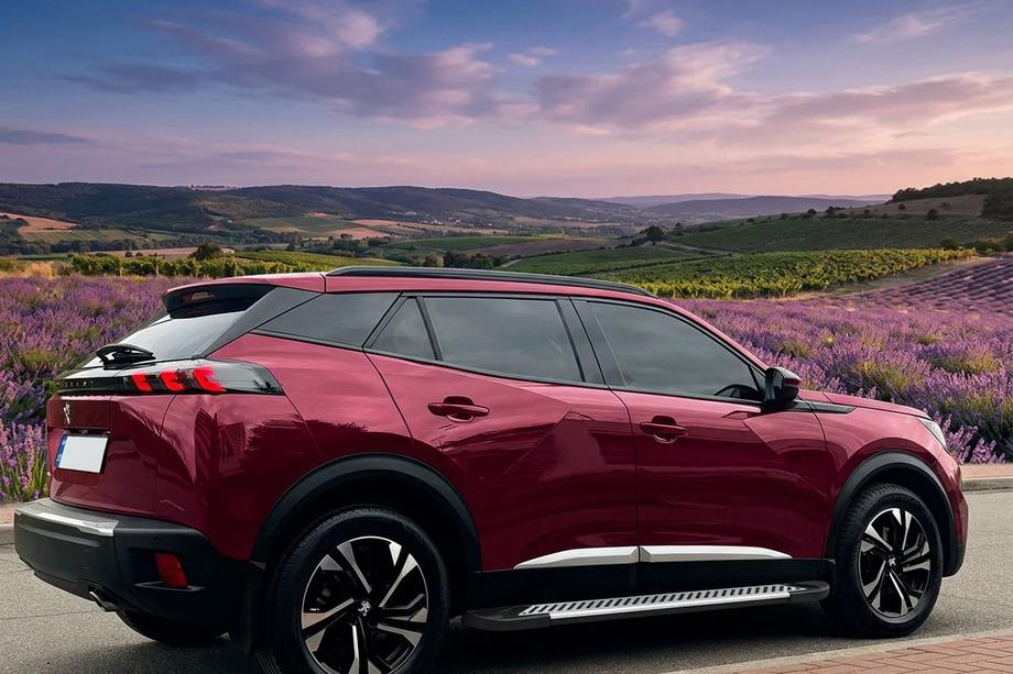 Peugeot 3008 2016-2023 гг. Боковые пороги Line (2 шт, алюминий) Image