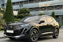 Peugeot 3008 2016-2023 гг. Боковые Подножки Bosphore Black (2 шт., Алюминий) фото 1
