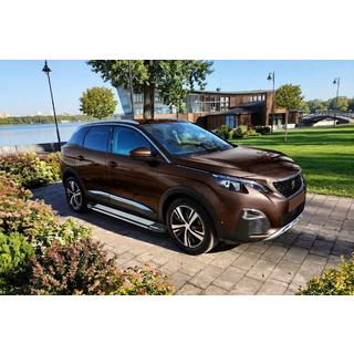 Боковые Подножки Rainbow (2 шт., Алюминий) Peugeot 3008 2016-2023 гг. фото 1