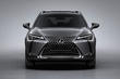 Компактный кроссовер Lexus UX 200