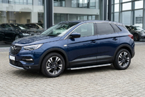 Opel Grandland X 2017- гг. Боковые Подножки Fullmond (2 шт, Алюминий) фото 1