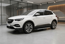 Opel Grandland X 2017- гг. Боковые Подножки Duru (2 шт., Алюминий) фото 1