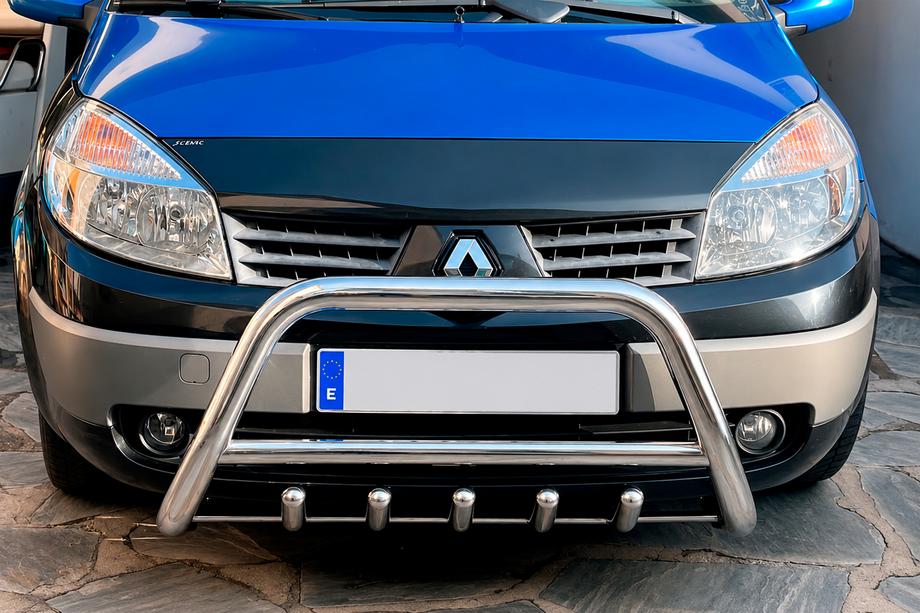 Renault Scenic/Grand 2003-2009 гг. Кенгурятник WT003 (нержавейка) Image