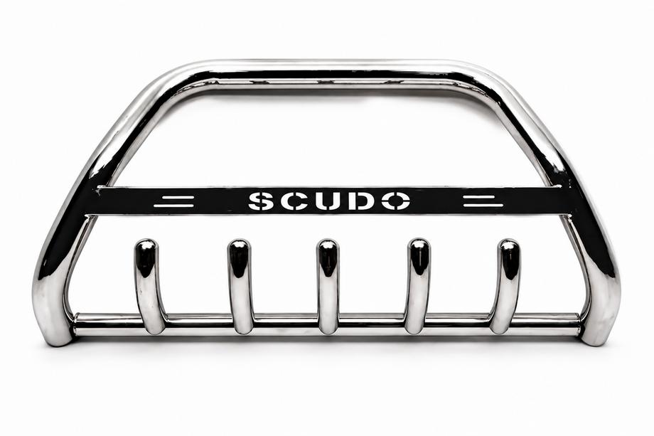 Fiat Scudo 1996-2007 гг. Кенгурятник WT004 Нержавейка Image