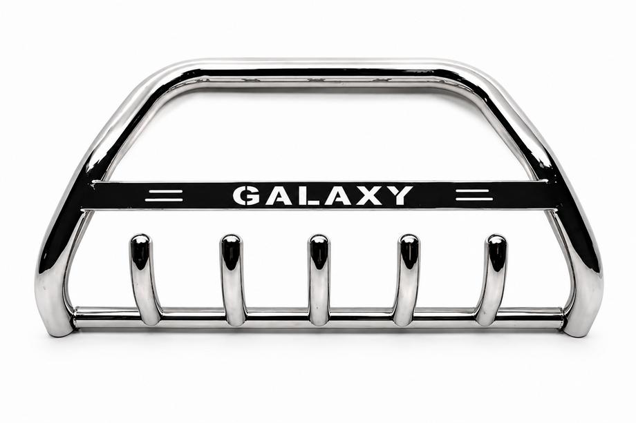 Ford Galaxy 1995-2006 гг. Кенгурятник WT004 Нержавейка Image