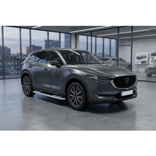 Боковые Подножки Tayga V2 (2 шт., Алюминий) фото 1