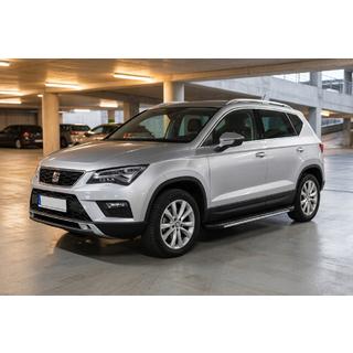 Боковые Подножки Bosphore Grey (2 шт., Алюминий) фото 1