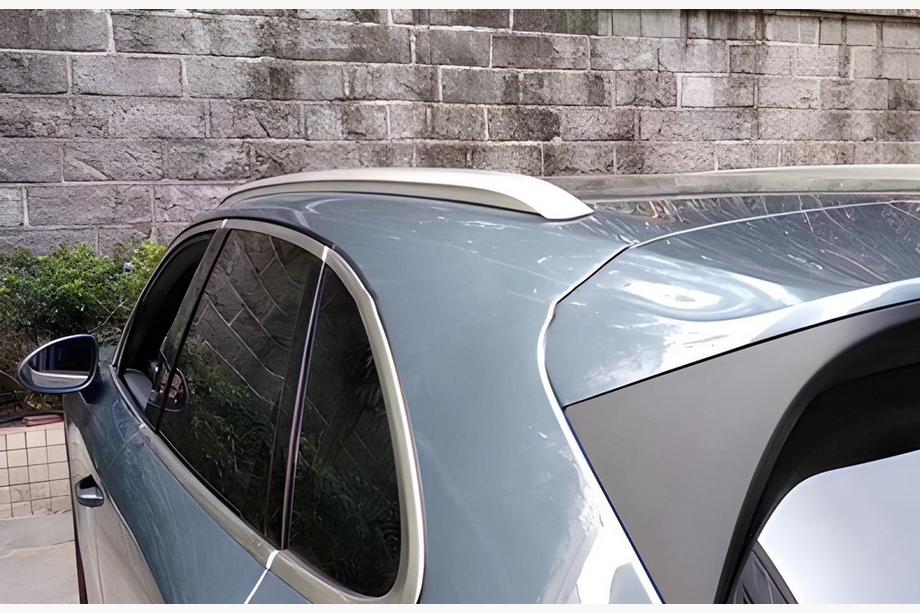 Рейлинги OEM (2 шт) Image