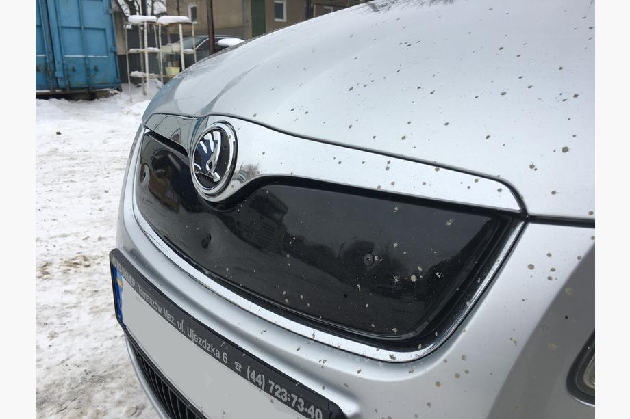 Skoda Fabia 2007-2014 гг. Зимняя накладка на решетку радиатора (2007-2010, верхняя) Фото 3
