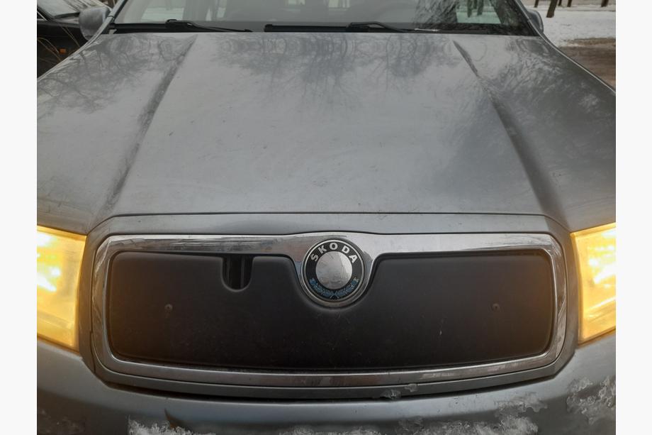 Skoda Fabia 2000-2007 гг. Зимняя накладка на решетку радиатора Фото 2
