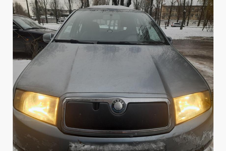 Skoda Fabia 2000-2007 гг. Зимняя накладка на решетку радиатора Матовый