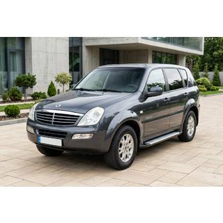 Боковые Подножки Allmond Grey (2 шт, Алюминий) SsangYong Rexton I 2001-2017 гг. фото 1