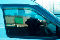 Fiat Doblo II 2010-2022 гг. Ветровики на окна (2 шт, HIC) фото 9