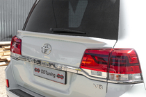 Черный фото 21