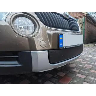 Зимняя накладка на решетку (нижняя, 2009-2013) Skoda Yeti 2009-2017 гг. фото 3