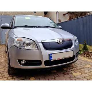 Зимняя накладка на решетку радиатора (2007-2010, верхняя) Skoda Roomster 2006-2015 гг. фото 2